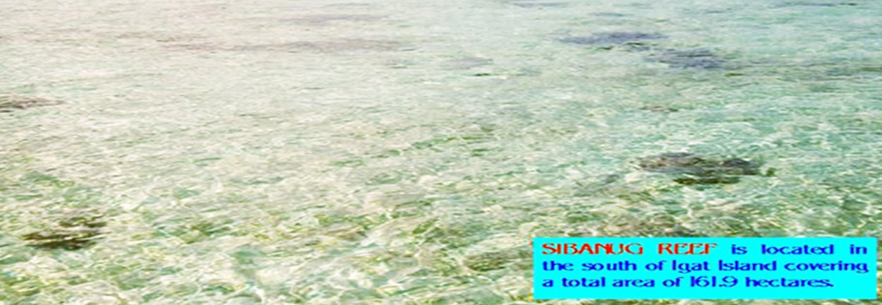 Sibanug Reef